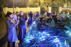 Angyalfoldi_zarandokok_119