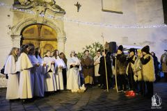 Angyalfoldi_zarandokok_133