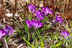 DSCN8028w
