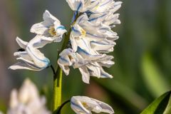 DSCN8501w