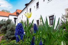 DSCN9472w
