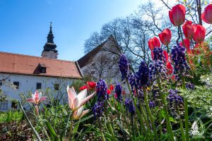 Gyógynövényes kert - 2026. tavasz 4. rész