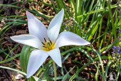 DSCN0510w