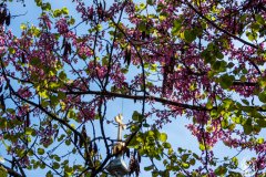 DSCN0665w