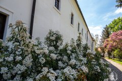DSCN0700w
