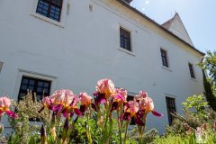 DSCN0970w