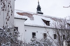DSCN6184w