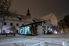 DSCN6261w