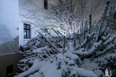 DSCN6267w