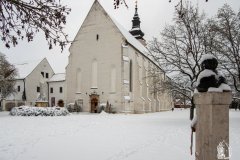 DSCN6054w