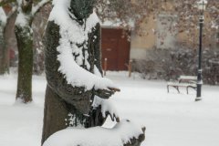 DSCN6072w