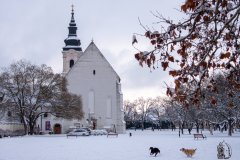 DSCN6125w