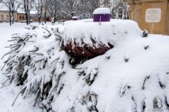 DSCN6159w