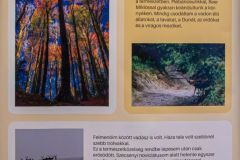 DSCN7966m_