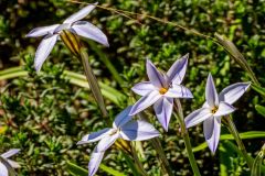 DSCN0436w