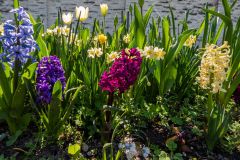 DSCN0451i