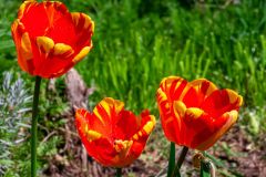 DSCN0638w