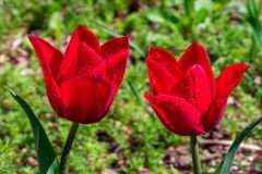 DSCN0653w