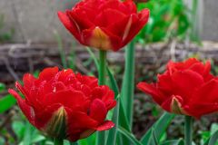 DSCN1696w