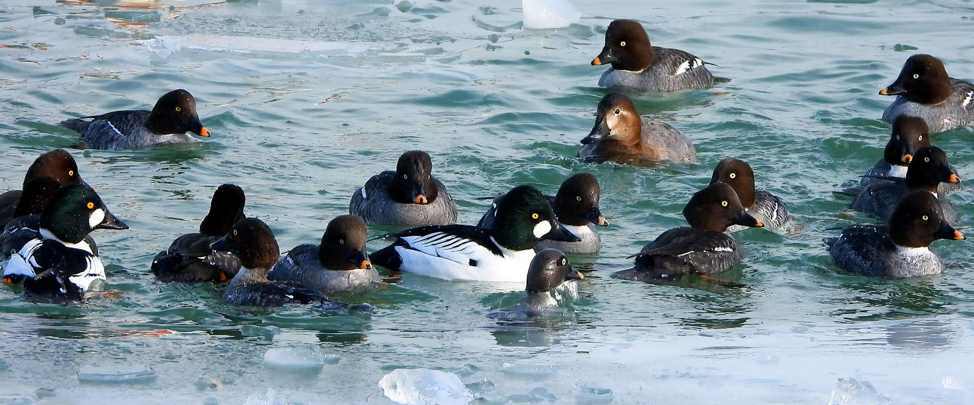 Permalink to: Természet csodái