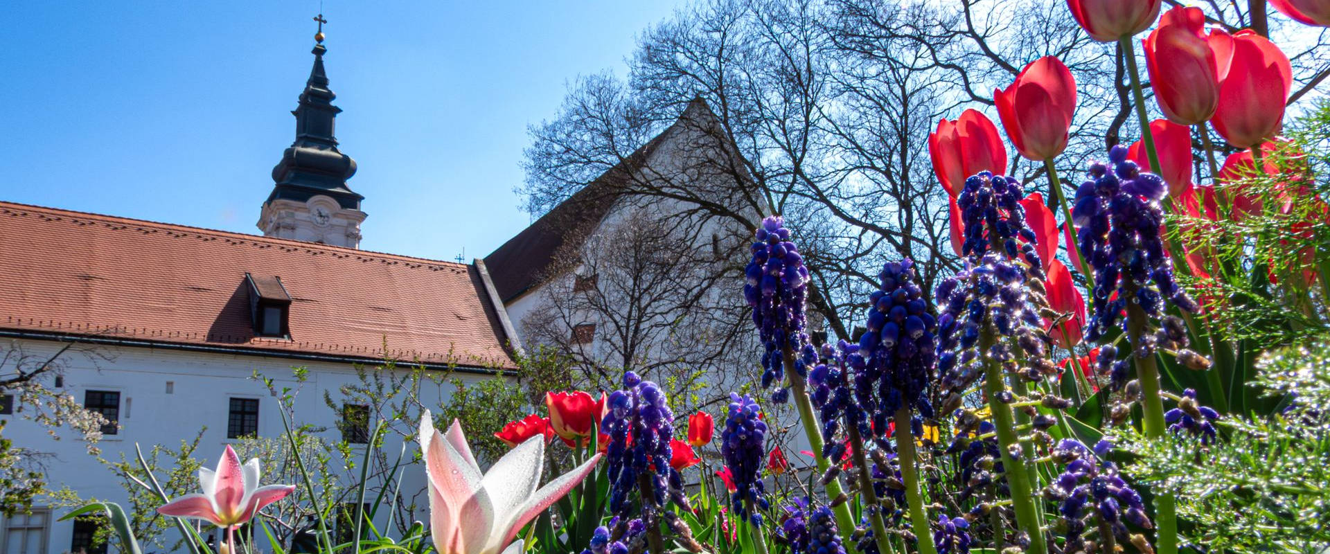 Permalink to: Új képek – gyógynövényes kert 2026. tavasz