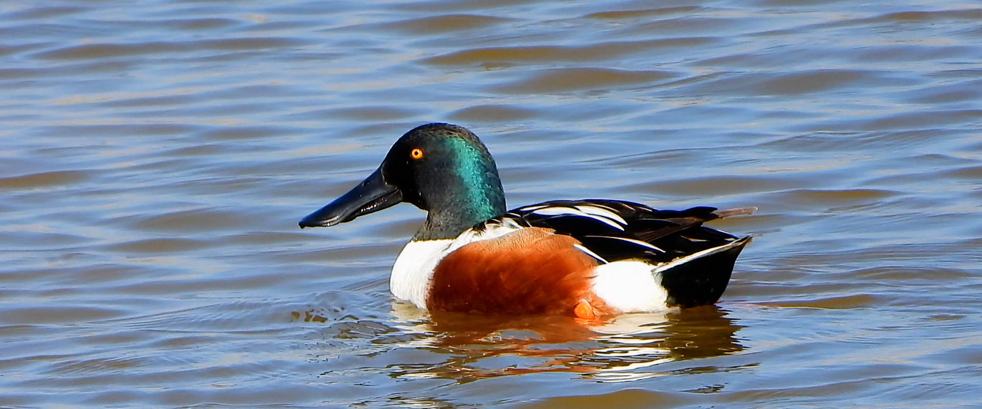 Permalink to: Természet csodái
